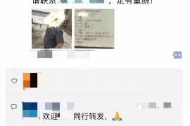 漳州融资清欠服务